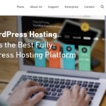 Choosing a Solid Hosting Provider for WordPress