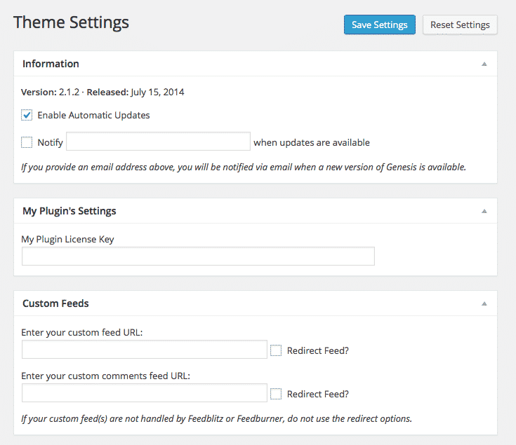 Custom Genesis Theme Settings