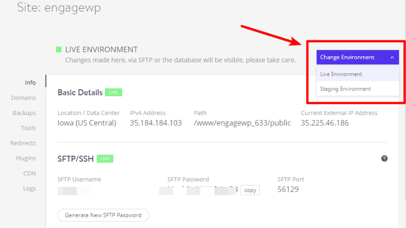 kinsta staging site